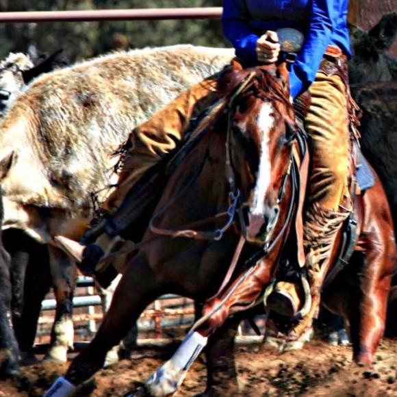 Meet your Posher, Joyce - Picture 1 of 1